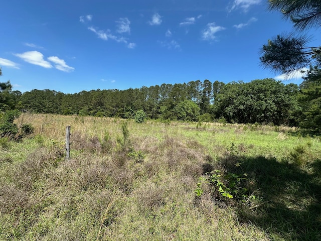 0 Willtown Rd, Hollywood, SC 29449
