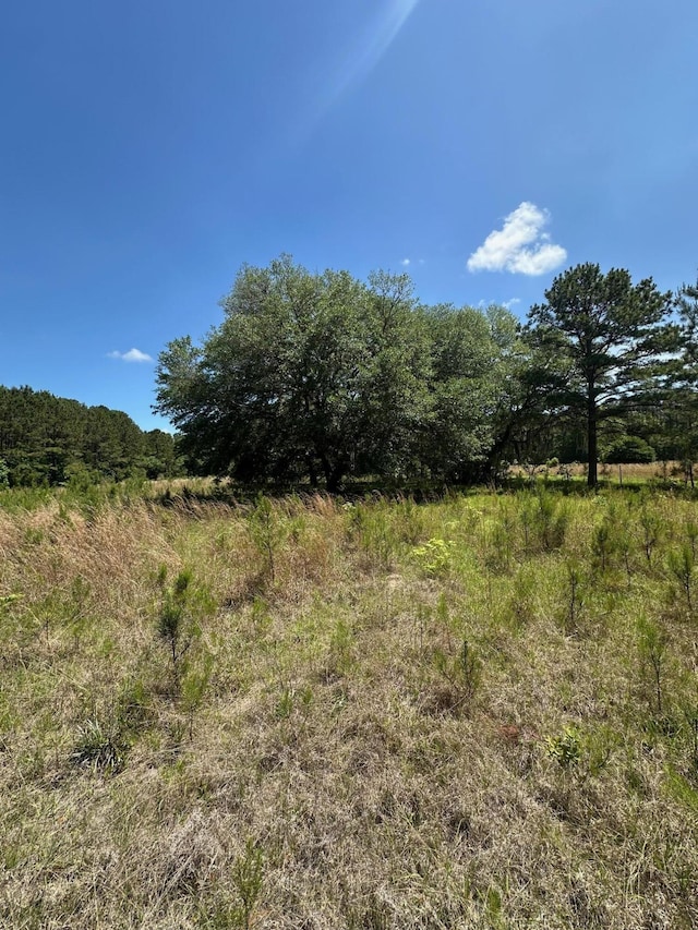 0 Willtown Rd, Hollywood, SC 29449