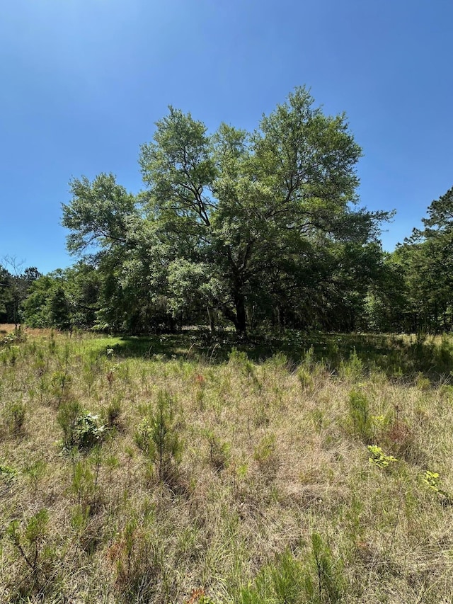 0 Willtown Rd, Hollywood, SC 29449