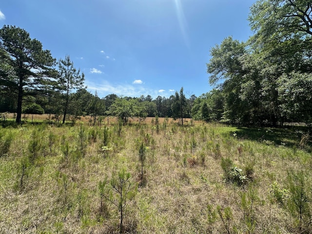 0 Willtown Rd, Hollywood, SC 29449