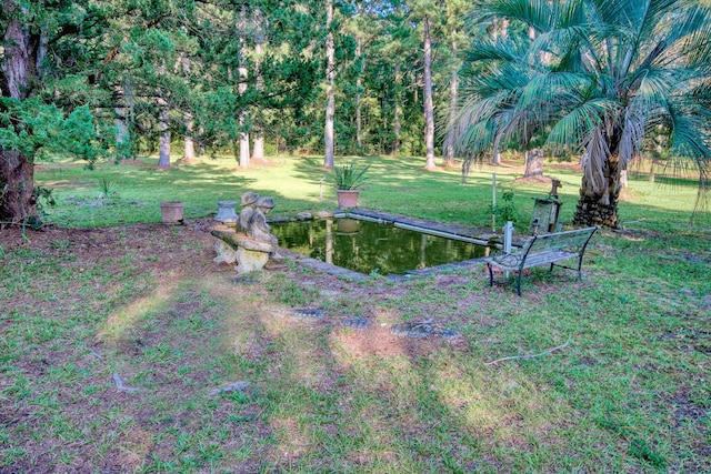 view of yard featuring a water view