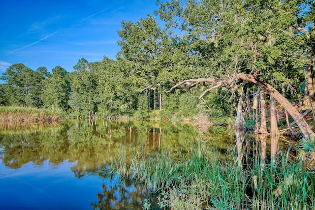 view of local wilderness with a water view