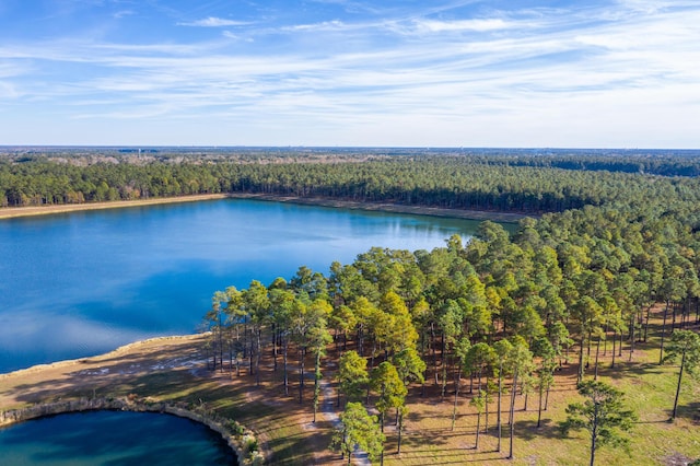 drone / aerial view featuring a water view and a view of trees