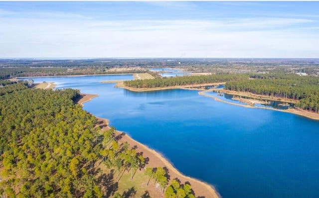 bird's eye view featuring a water view and a wooded view