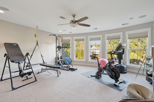 exercise area featuring visible vents, carpet floors, baseboards, and ceiling fan