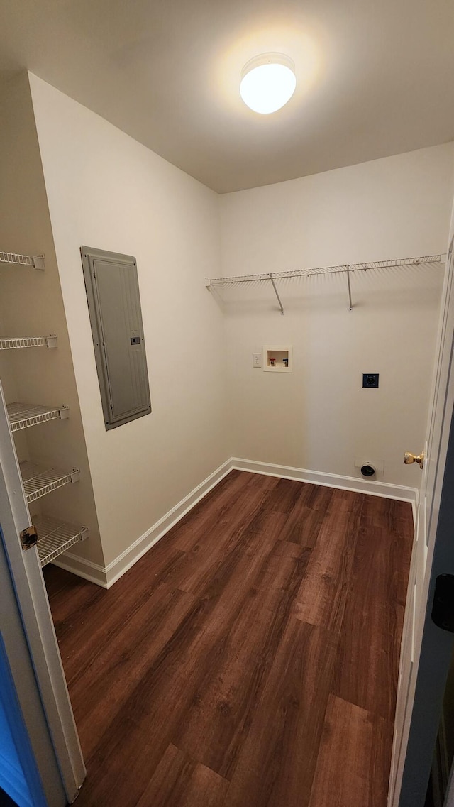 washroom featuring dark wood-type flooring, electric panel, and hookup for a washing machine