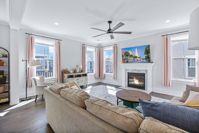 living area featuring dark wood-type flooring, plenty of natural light, baseboards, and a premium fireplace