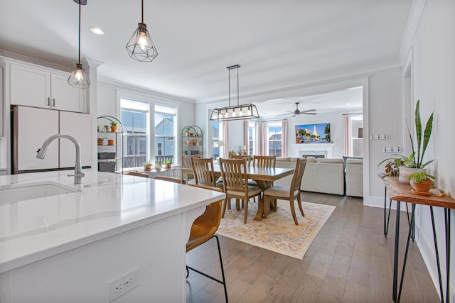 kitchen featuring crown molding, dark wood-style flooring, a sink, and freestanding refrigerator