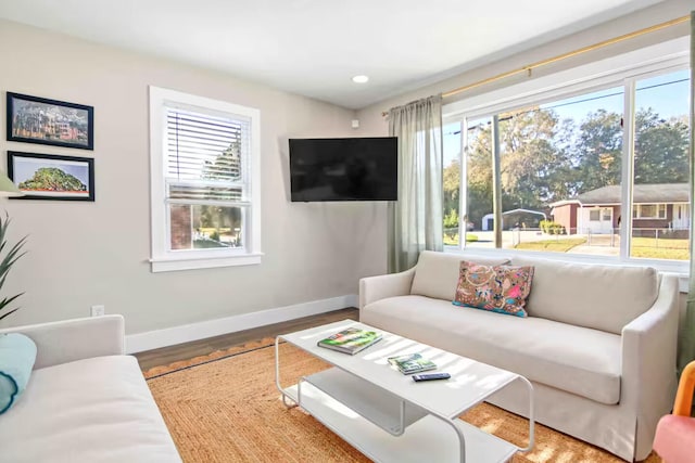 living room featuring hardwood / wood-style floors