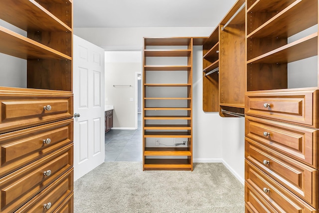 319 Deep River Rd, Summerville, SC 29486 - spacious closet featuring light colored carpet