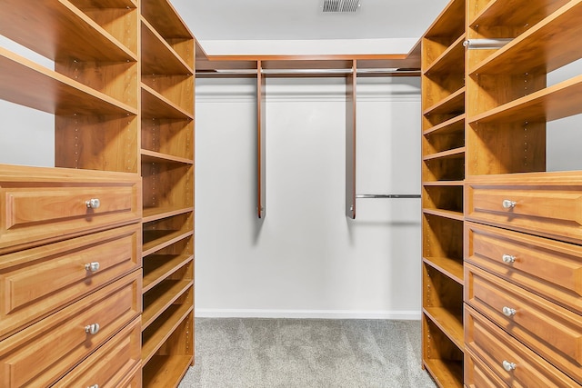 319 Deep River Rd, Summerville, SC 29486 - spacious closet with light colored carpet