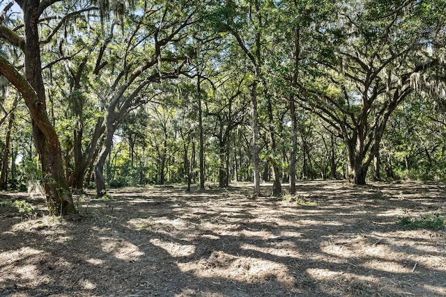 2940 Anchor Watch Dr, Wadmalaw Island, SC 29487