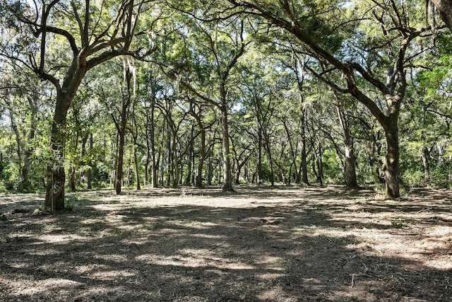 2940 Anchor Watch Dr, Wadmalaw Island, SC 29487