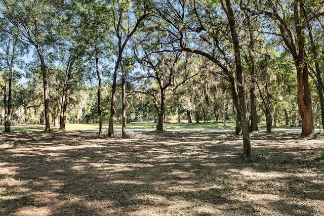 2940 Anchor Watch Dr, Wadmalaw Island, SC 29487