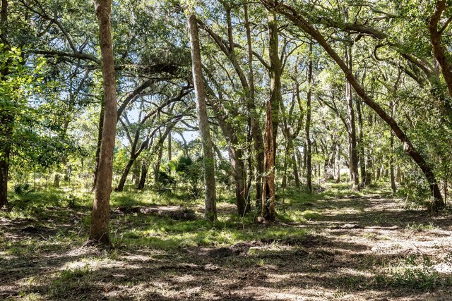 2940 Anchor Watch Dr, Wadmalaw Island, SC 29487