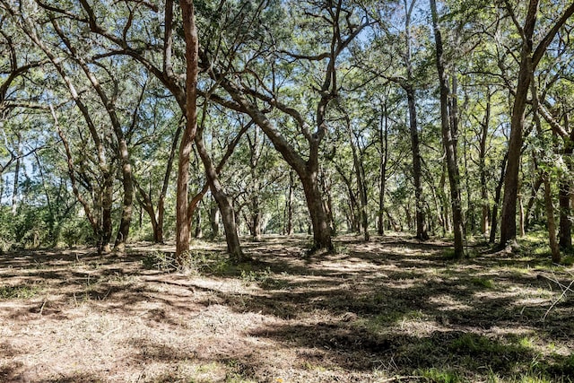 2940 Anchor Watch Dr, Wadmalaw Island, SC 29487