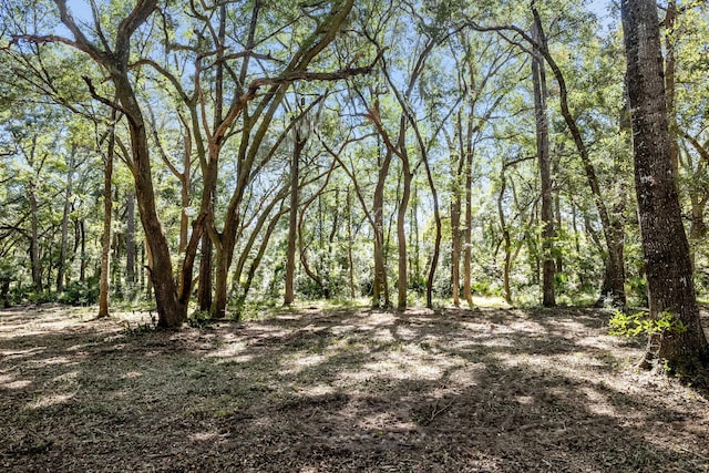 2940 Anchor Watch Dr, Wadmalaw Island, SC 29487