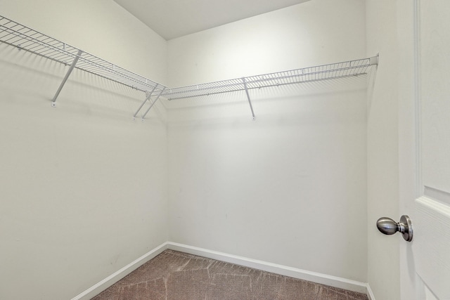 1350 Wild Goose Trl, Summerville, SC 29483 - spacious closet featuring carpet