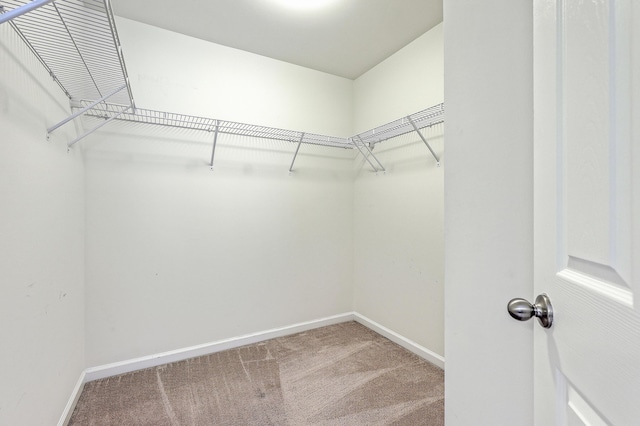 1350 Wild Goose Trl, Summerville, SC 29483 - walk in closet with carpet