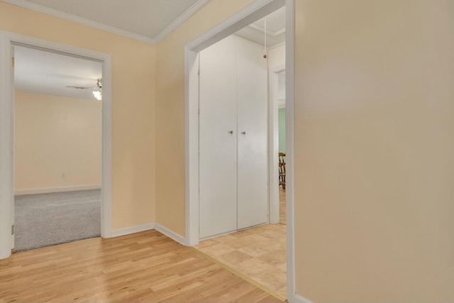 corridor with crown molding and wood-type flooring