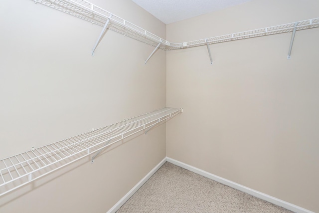 spacious closet with light colored carpet