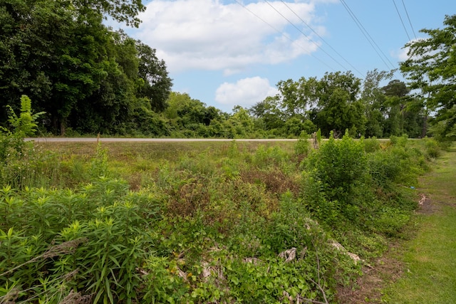 507 Stinson Dr Unit B3, Charleston, SC 29407 - view of undeveloped land