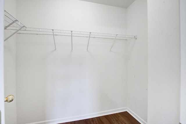 4818 Buttercup Way, Summerville, SC 29485 - walk in closet featuring dark wood finished floors