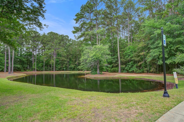 4818 Buttercup Way, Summerville, SC 29485 - view of green lawn featuring a water view and a forest view