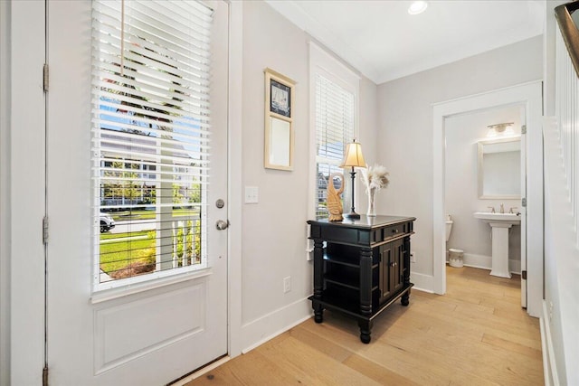 113 Grimball St, Summerville, SC 29486 - entrance foyer featuring light wood-style flooring, plenty of natural light, and baseboards