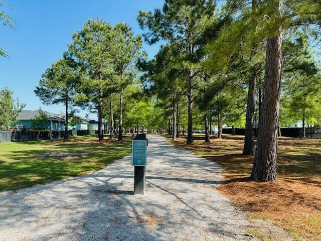 113 Grimball St, Summerville, SC 29486 - view of surrounding community