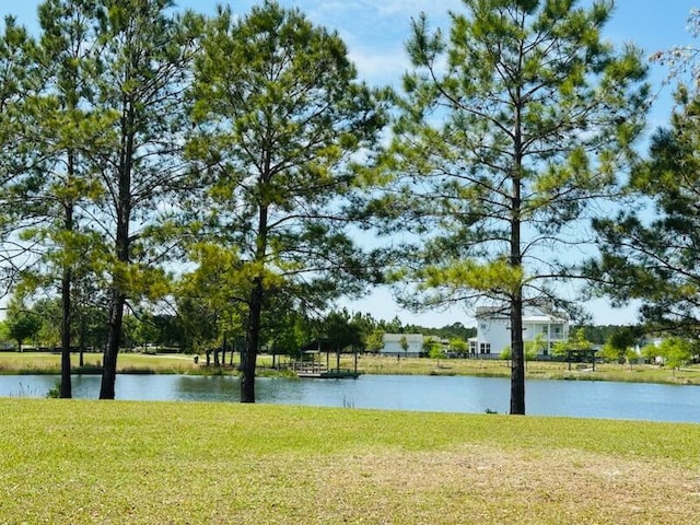 113 Grimball St, Summerville, SC 29486 - water view