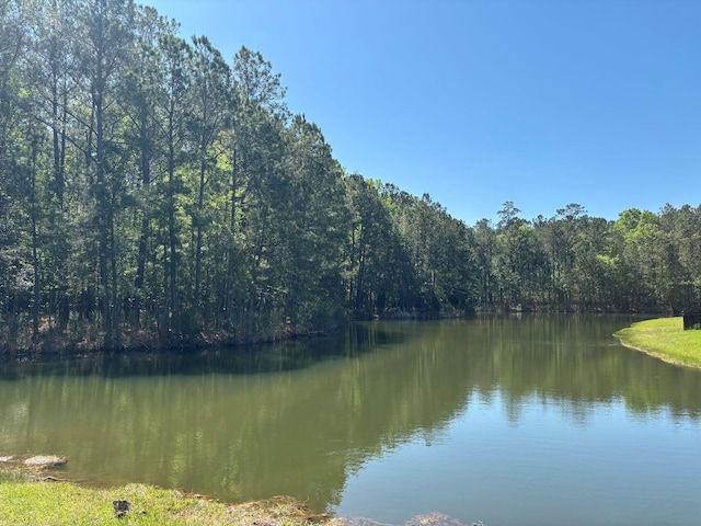 287 Commonwealth Rd, Mount Pleasant, SC 29466 - water view featuring a forest view
