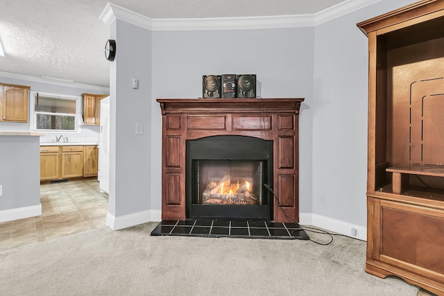 room details with carpet flooring, a textured ceiling, crown molding, and sink