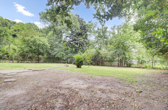 1515 Mulberry St, Charleston, SC 29407 - view of green lawn