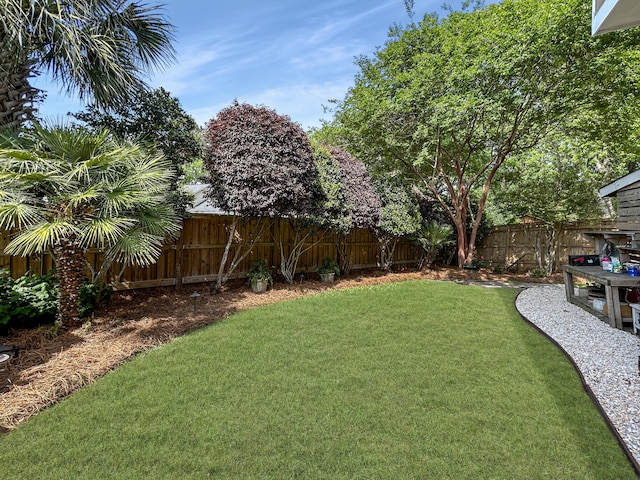 view of yard with a fenced backyard
