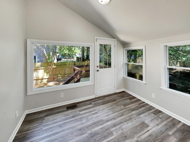 interior space featuring lofted ceiling, wood-type flooring, and plenty of natural light