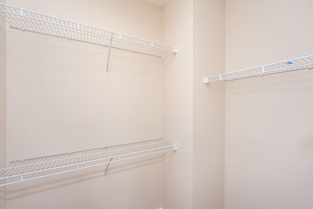2301 N Creek Dr, Mount Pleasant, SC 29466 - view of spacious closet