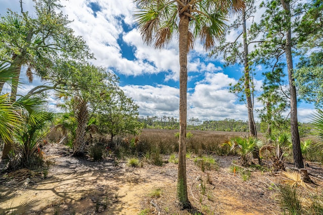 2301 N Creek Dr, Mount Pleasant, SC 29466 - view of yard