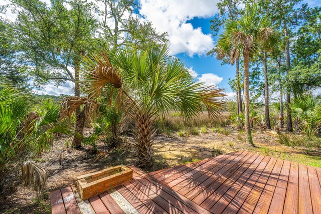 2301 N Creek Dr, Mount Pleasant, SC 29466 - view of deck
