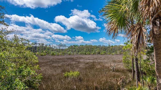 2301 N Creek Dr, Mount Pleasant, SC 29466 - view of wooded area