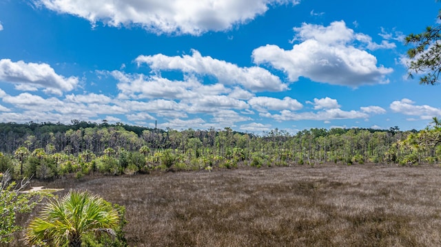2301 N Creek Dr, Mount Pleasant, SC 29466 - view of local wilderness