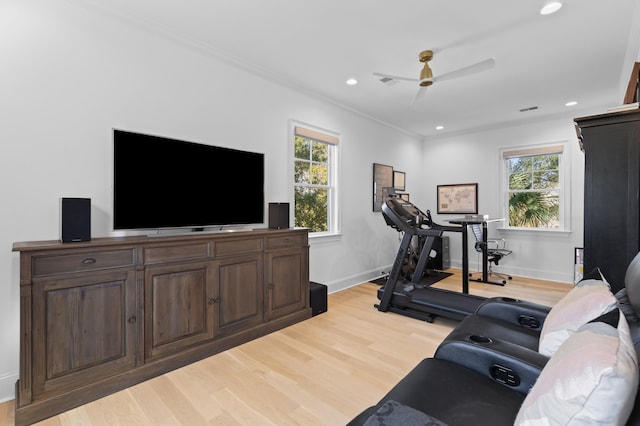 workout area with light wood-style flooring, crown molding, and a wealth of natural light