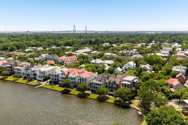 18 Fernandina St, Mount Pleasant, SC 29464 - aerial view of a large body of water