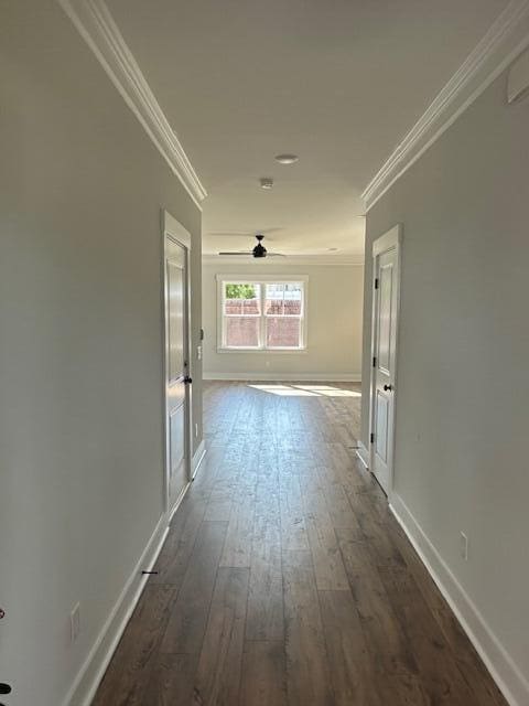 4126 Ohear Ave, North Charleston, SC 29406 - corridor featuring crown molding and dark wood-type flooring