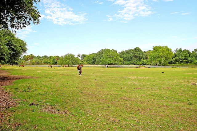 view of yard with a rural view