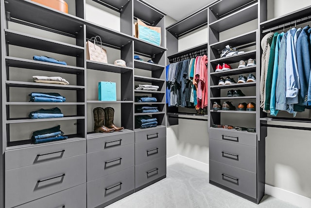 spacious closet with light carpet