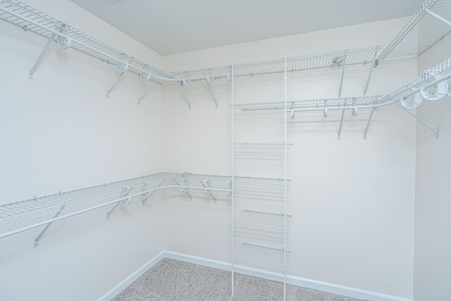 spacious closet with carpet flooring