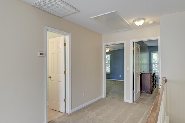 5105 Parrum Ct, Summerville, SC 29485 - corridor featuring attic access and light colored carpet