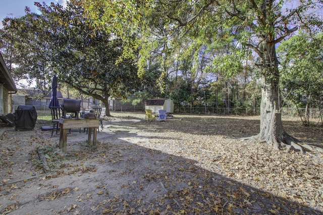 view of yard featuring a storage shed