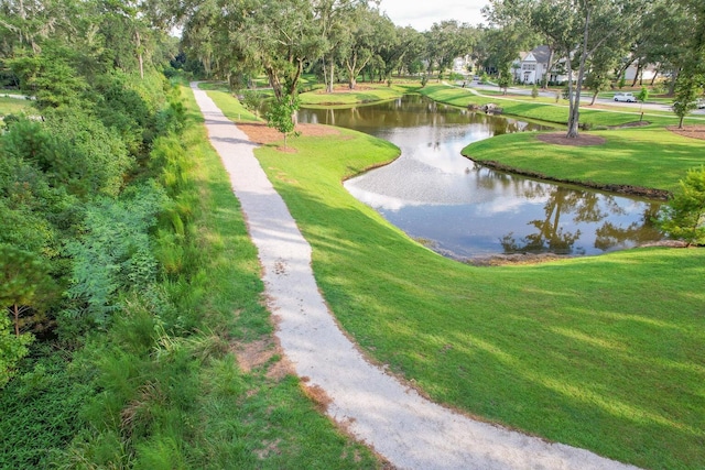 3018 Vincent Astor Dr, Johns Island, SC 29455 - view of home's community with a water view and a lawn